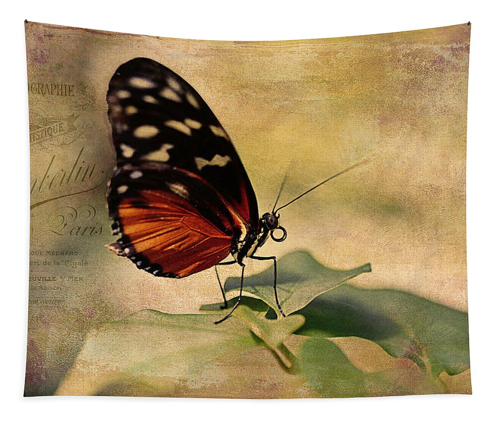Leaf Tapestry featuring the photograph Vintage Butterfly Card by Maria Angelica Maira