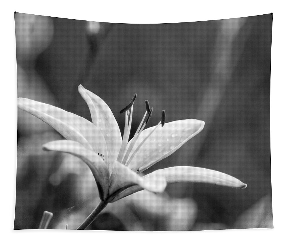 White Tapestry featuring the photograph Vintage Lily by Bill Pevlor