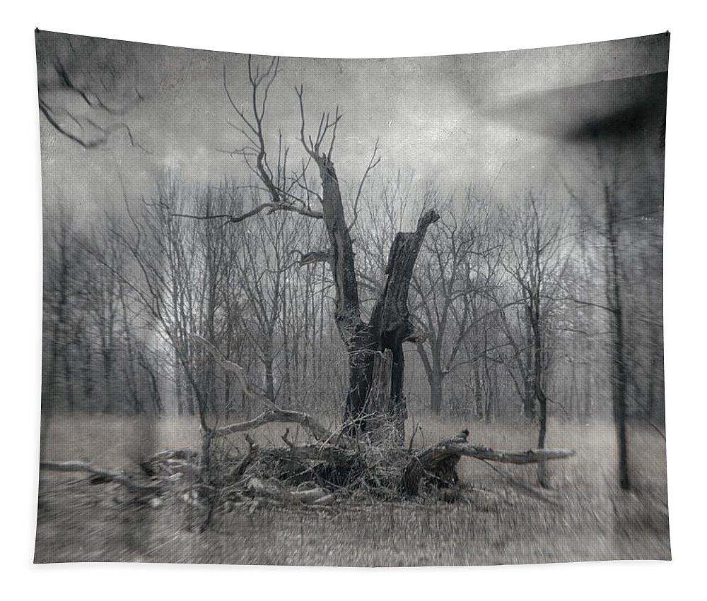 Black & White Tapestry featuring the photograph Visitor In The Woods by Jim Shackett
