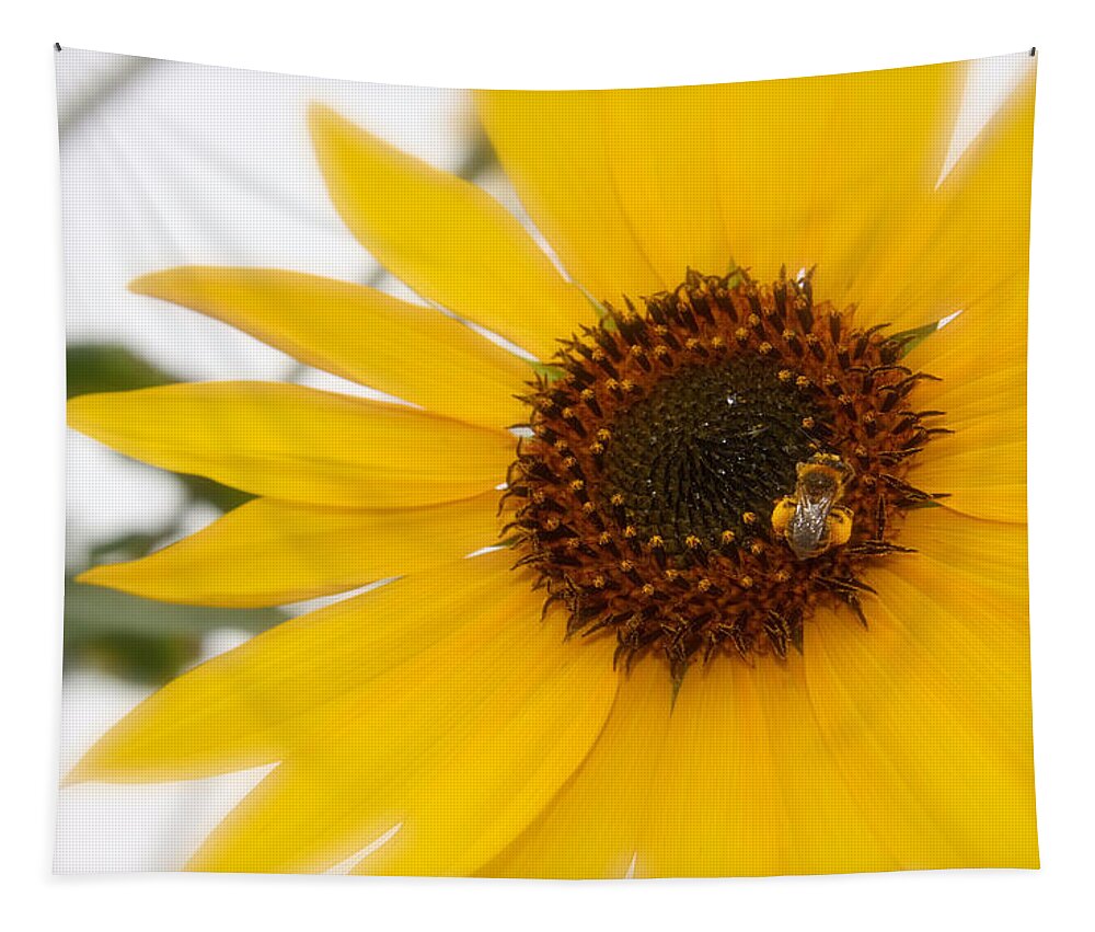 Sunflower Photograph Tapestry featuring the photograph Vivid Sunflower with Bee Fine Art Nature Photography by Jerry Cowart
