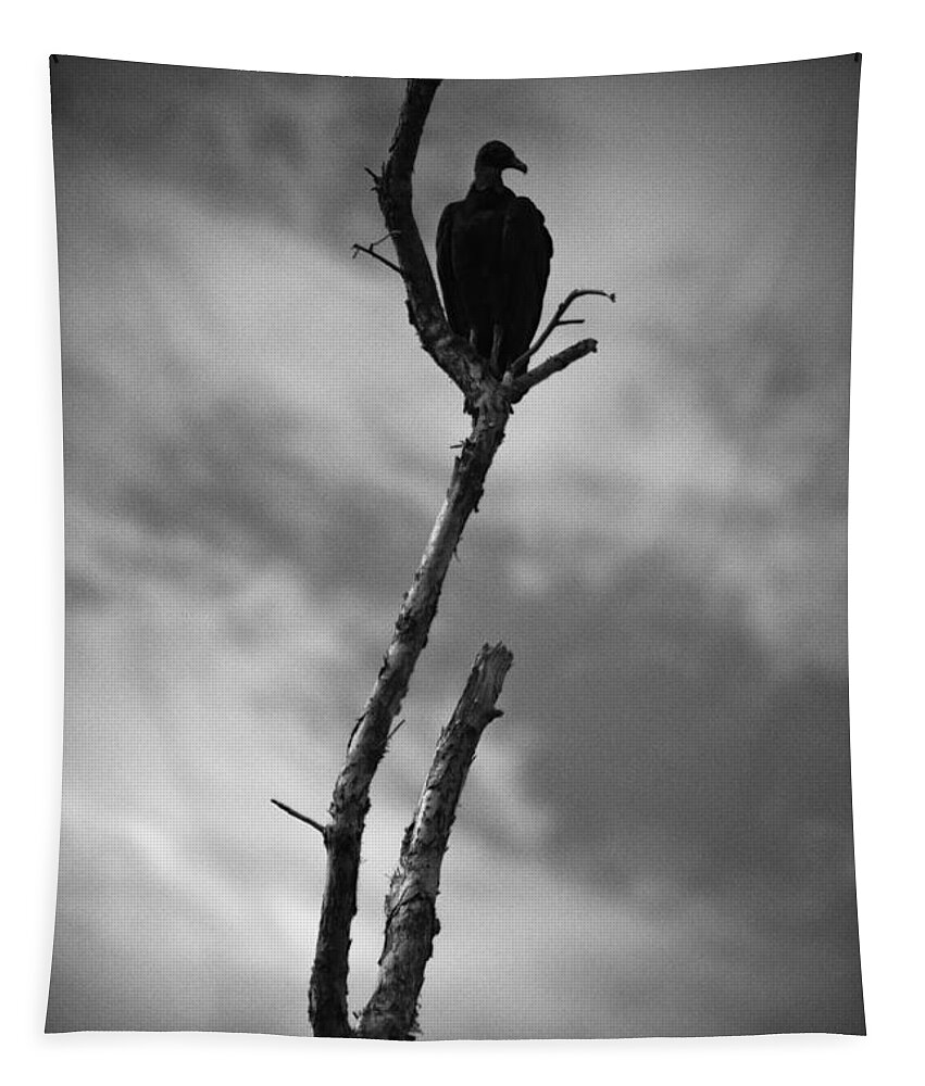 Everglades Tapestry featuring the photograph Vulture Silhouette by Bradley R Youngberg