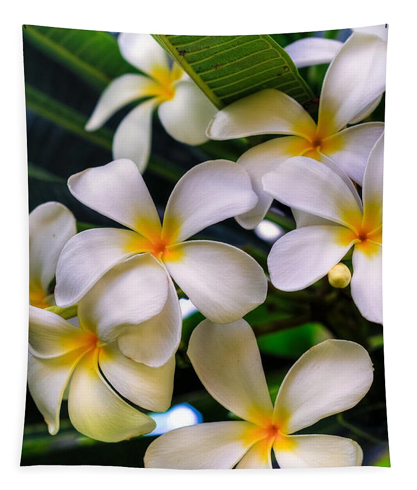 Wailea Tapestry featuring the photograph Wailea Plumerias by Kelly Wade