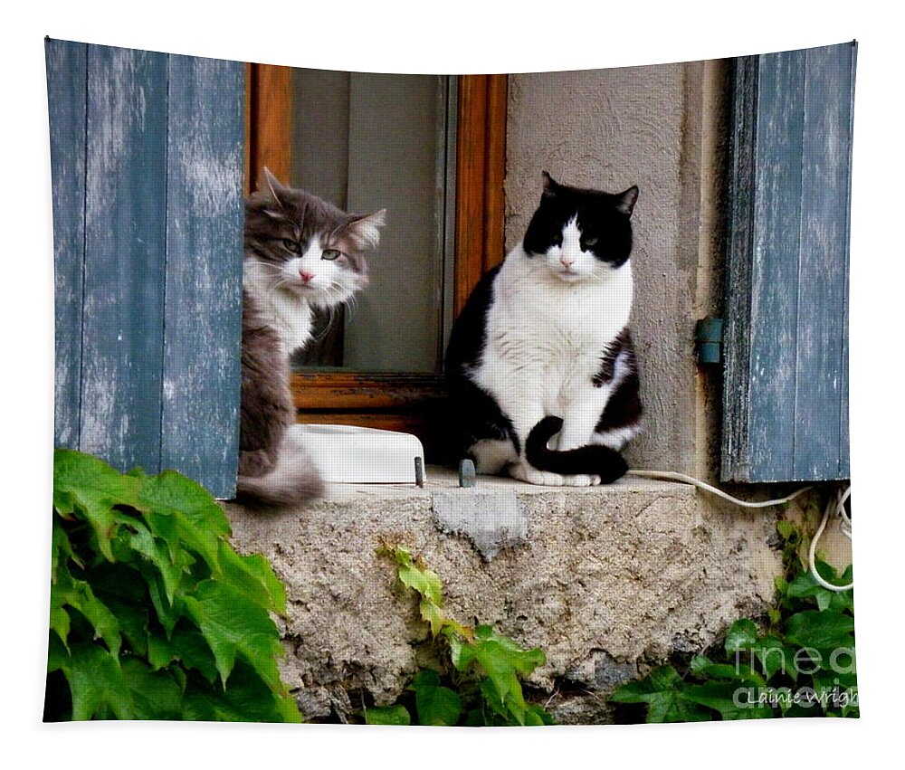 Cats Tapestry featuring the photograph Waiting for Dinner by Lainie Wrightson