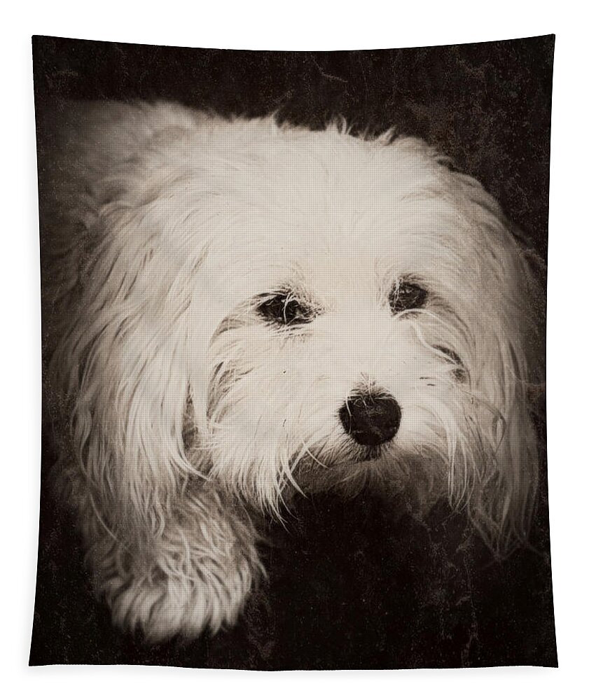 Dog Tapestry featuring the photograph Waiting by Melanie Lankford Photography