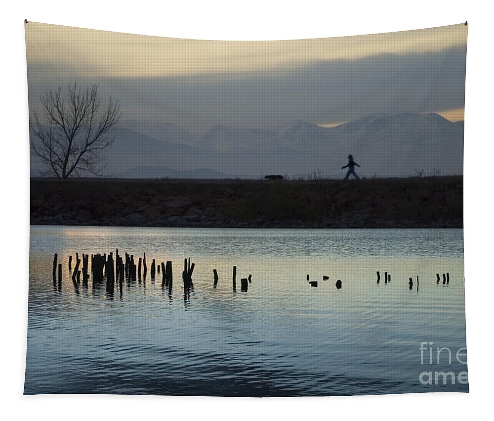 Silhouette Tapestry featuring the photograph Walking the Dog by Steven Krull