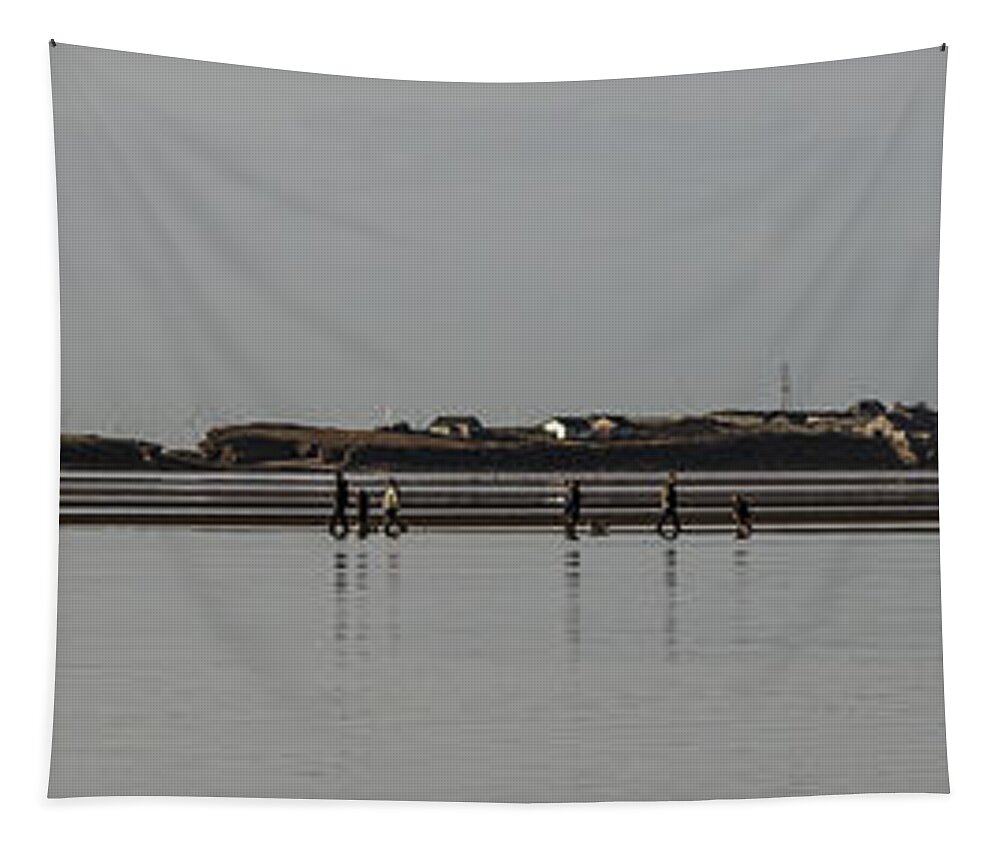Hilbre Island Tapestry featuring the photograph Walking the Wall by Spikey Mouse Photography