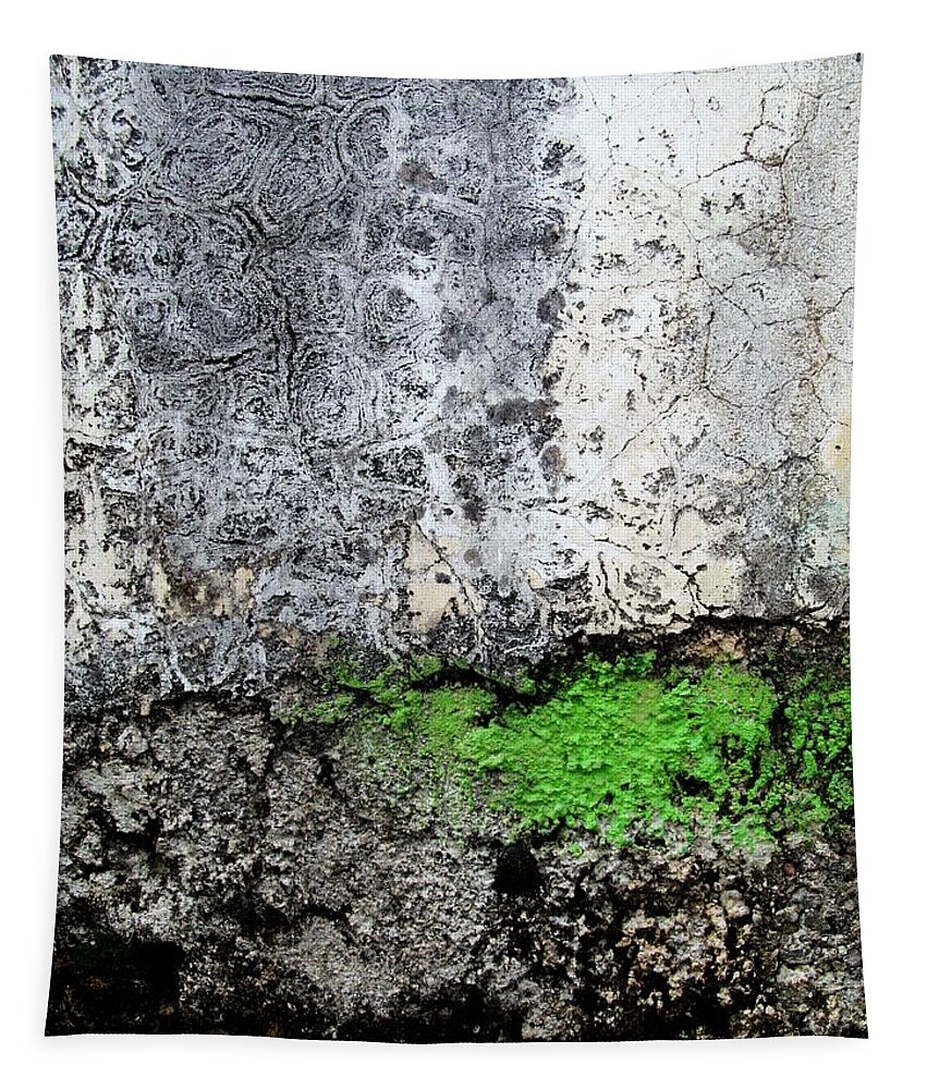 Texture Tapestry featuring the digital art Wall Abstract 42 by Maria Huntley