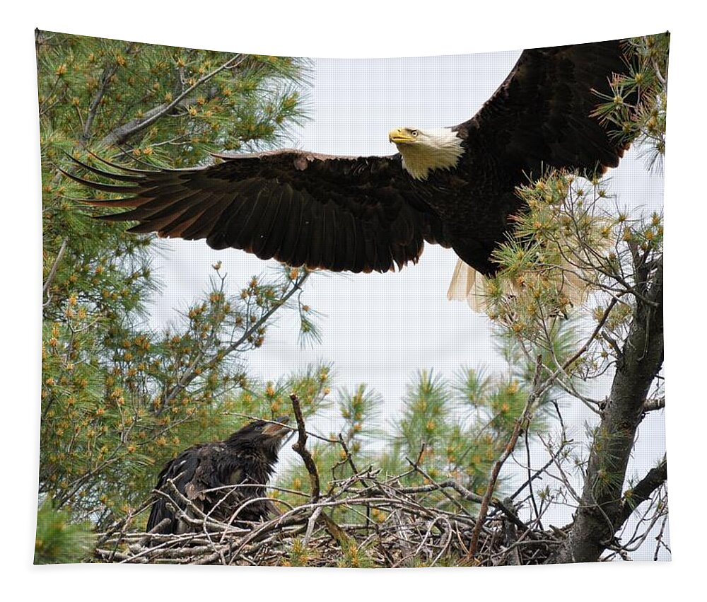 Eagle Tapestry featuring the photograph Watch Out Below by Bonfire Photography