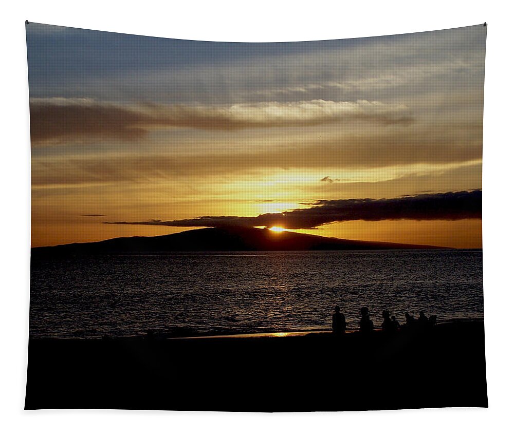 Sunset Tapestry featuring the photograph Watching the Sunset by Ron Roberts