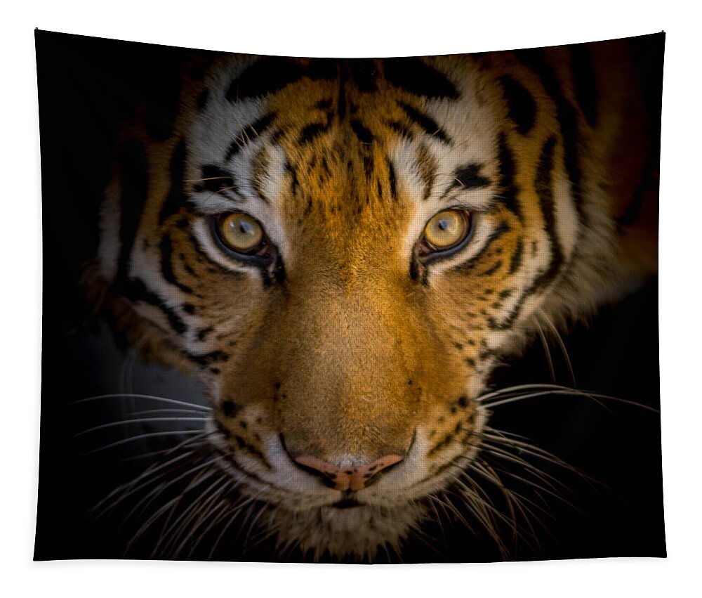 Tiger Tapestry featuring the photograph Watching You by Ernest Echols