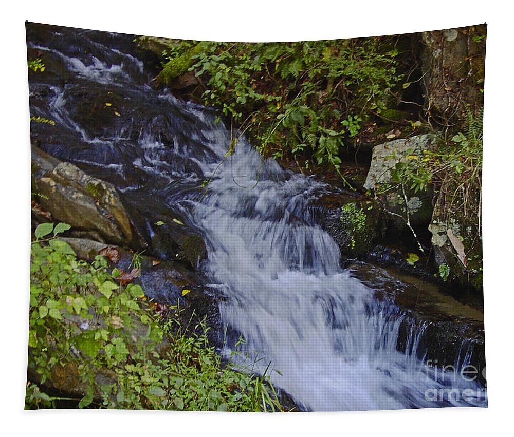 Rural Tapestry featuring the photograph Water Falling by Sandra Clark