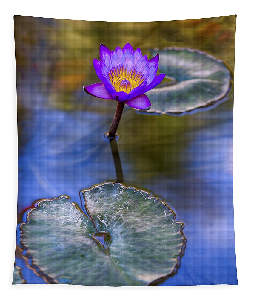 Water Lily Tapestry featuring the photograph Water Lily 4 by Scott Campbell