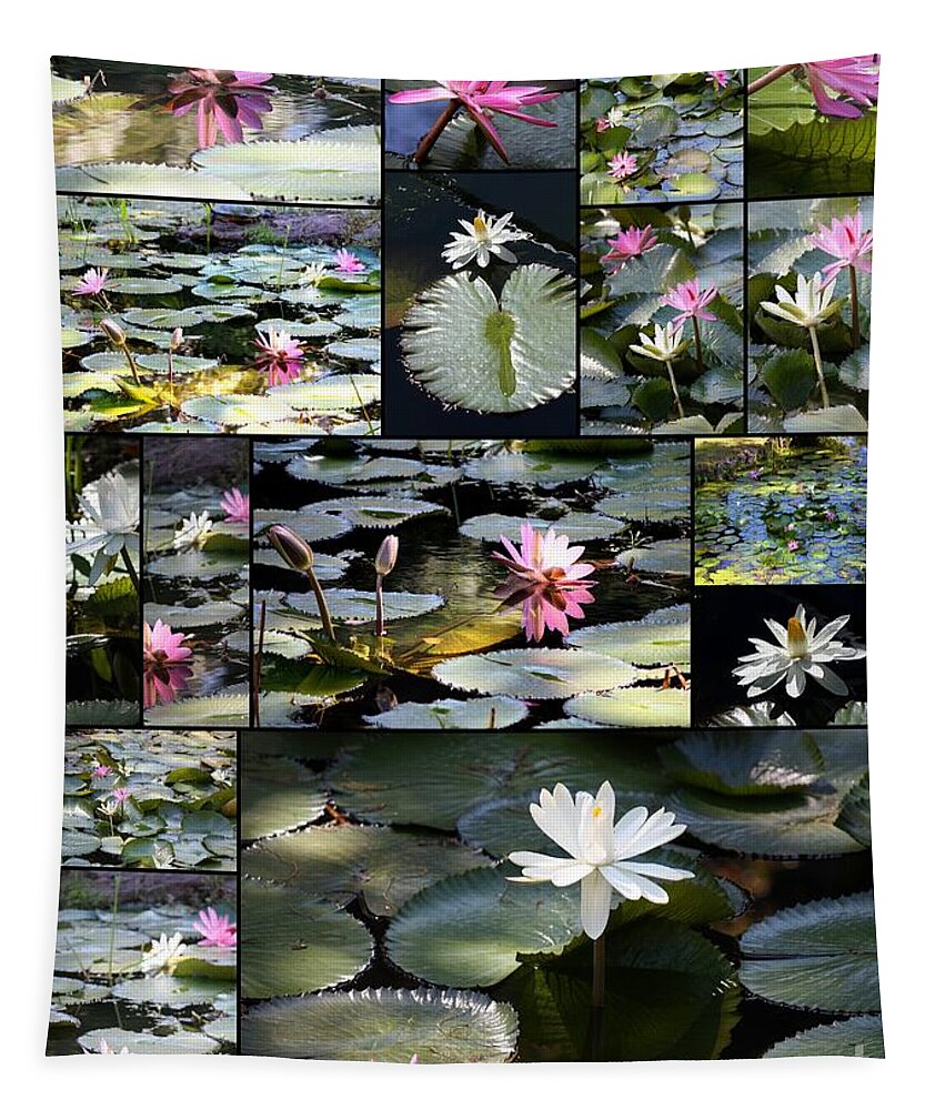 Water Lilies Tapestry featuring the photograph Water Lily Pond Collage 2 by Carol Groenen