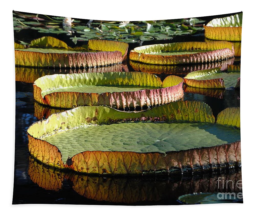 Victoria Longwood Hybrid Water Platter Tapestry featuring the photograph Water Platters I by Jacqueline M Lewis