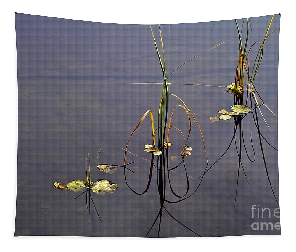 Tranquil Waters Tapestry featuring the photograph Water scene by Heiko Koehrer-Wagner