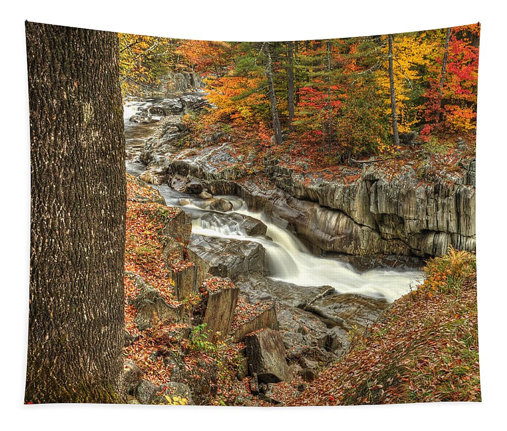 Photograph Tapestry featuring the photograph Watercolor by Richard Gehlbach
