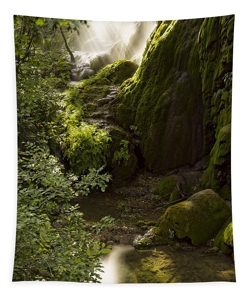 Gorman Falls Tapestry featuring the photograph Waterfall Of Light by Jonathan Davison