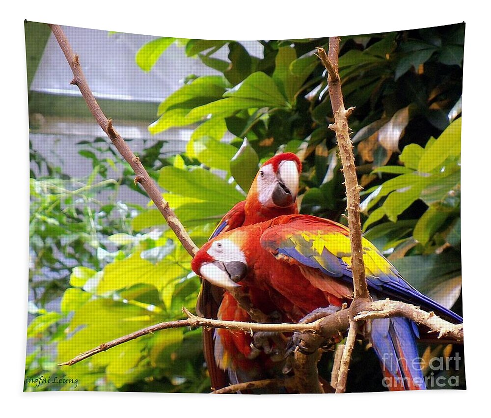 Exotic Bird Tapestry featuring the photograph We Are Ready For Pictures by Lingfai Leung