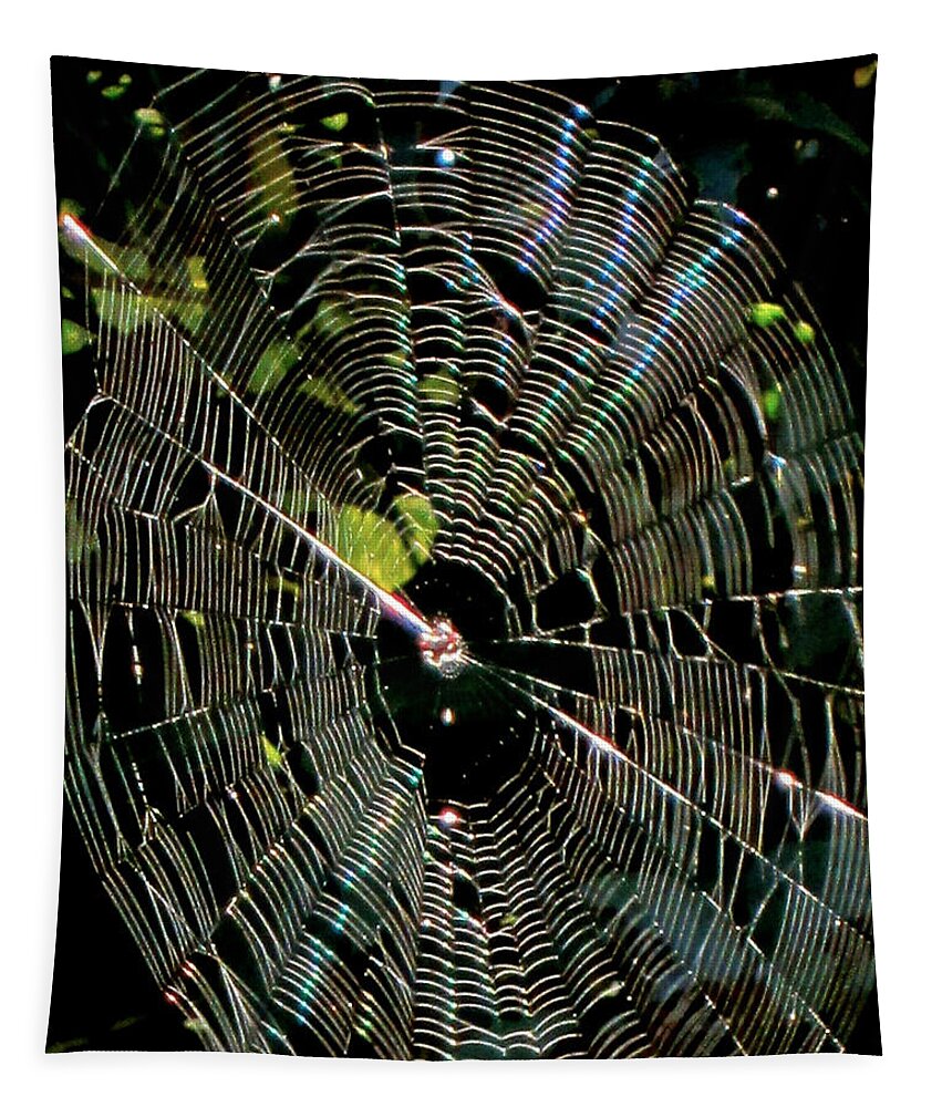 Spider Tapestry featuring the photograph Web Site by Alan Metzger