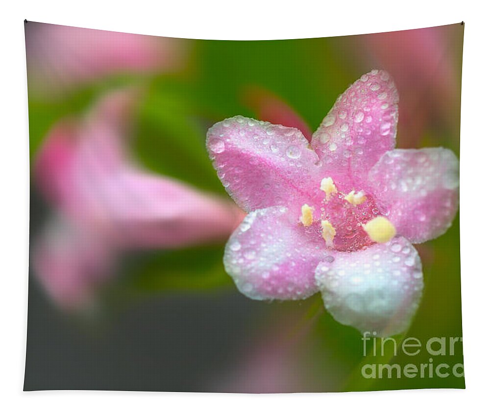 Weigela Tapestry featuring the photograph Weigela in Spring by Bernd Laeschke
