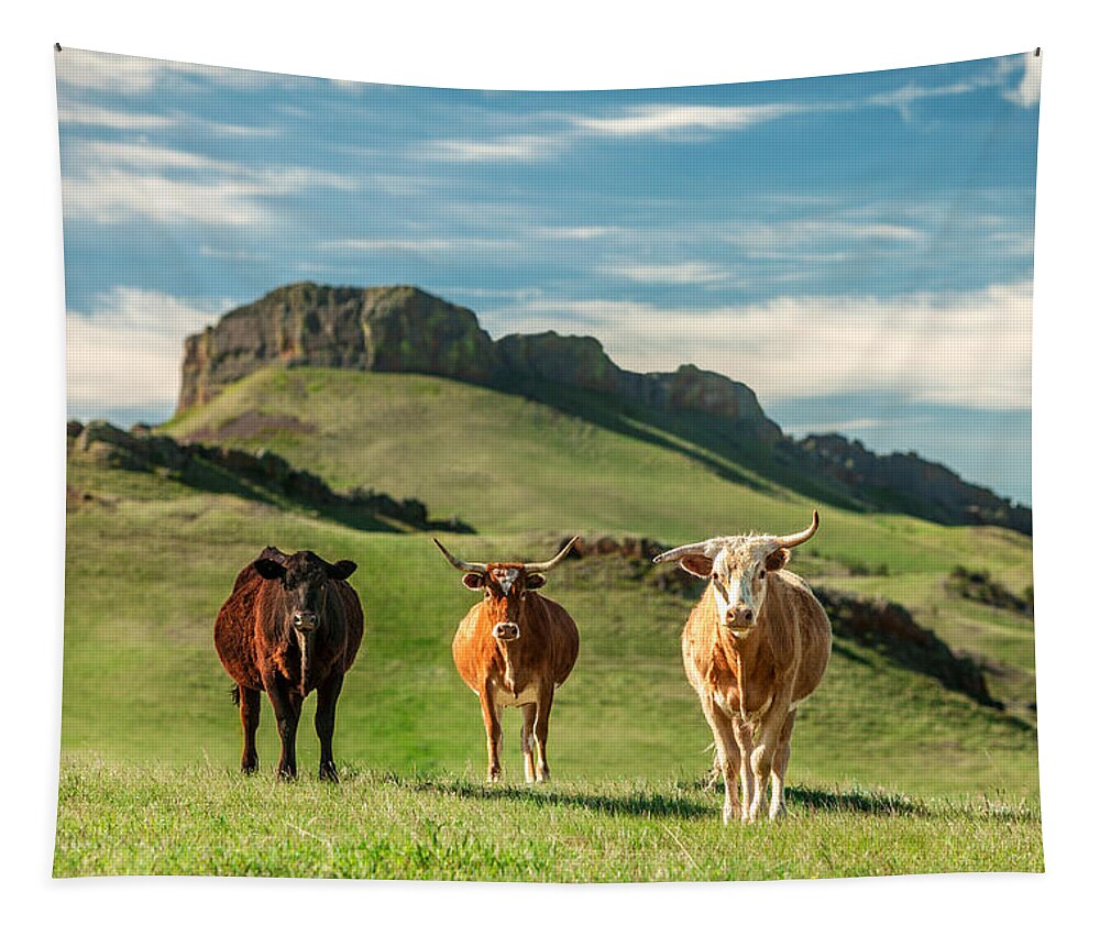 Cattle Tapestry featuring the photograph Western Longhorns by Todd Klassy