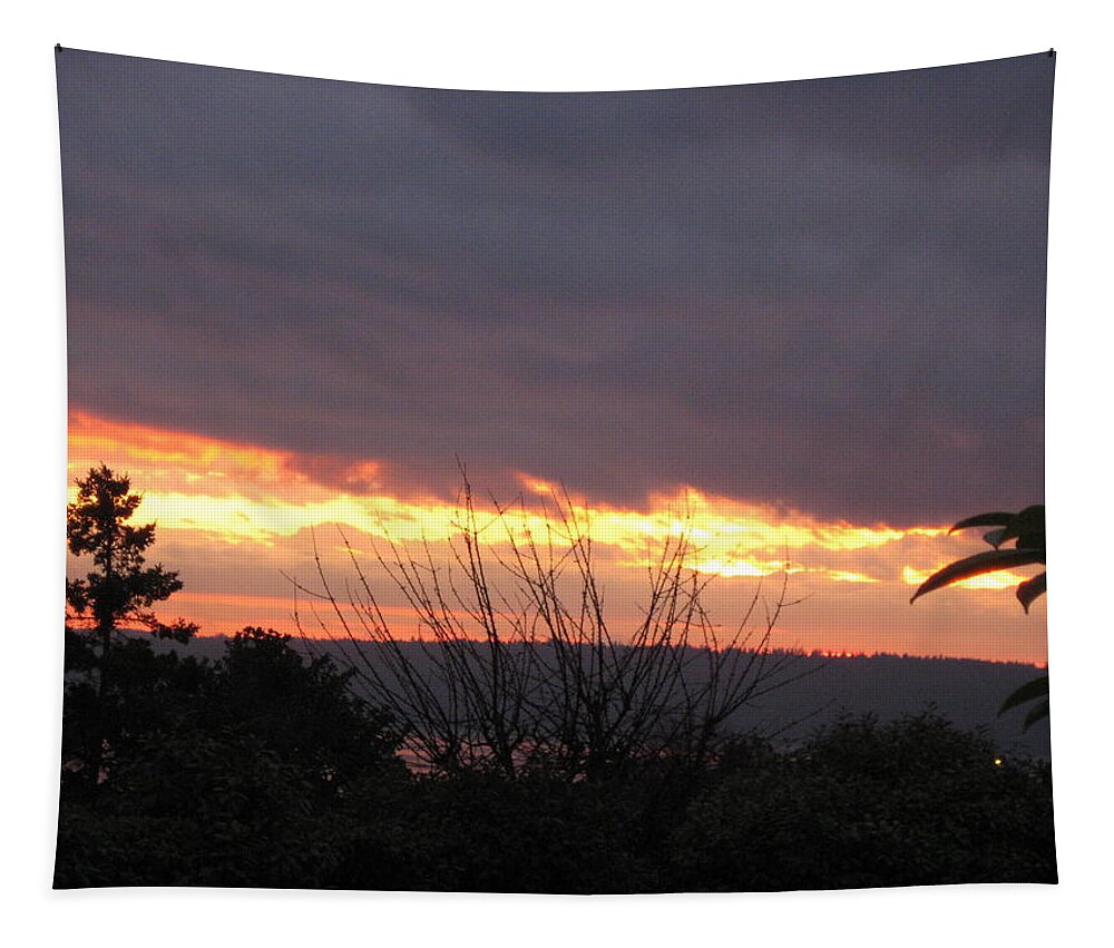 Sunset Tapestry featuring the photograph Westward Sunbreak - Seattle by David Trotter