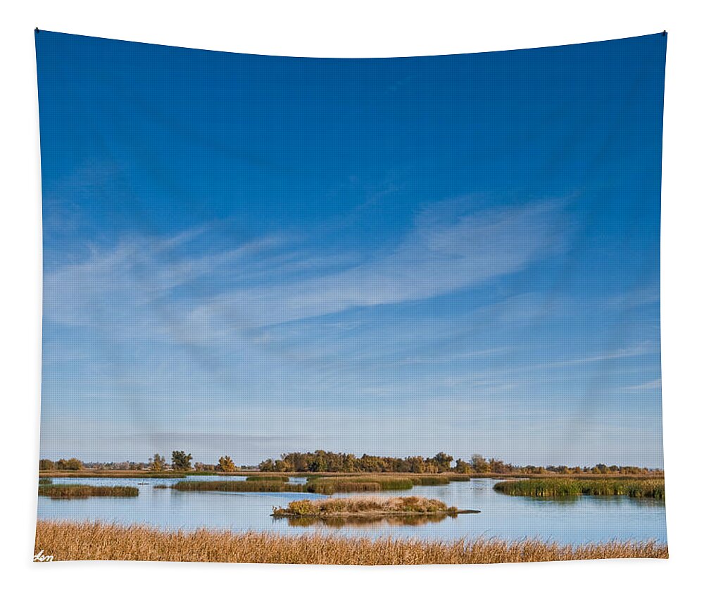 Autumn Tapestry featuring the photograph Wetland at the Refuge by Jeff Goulden