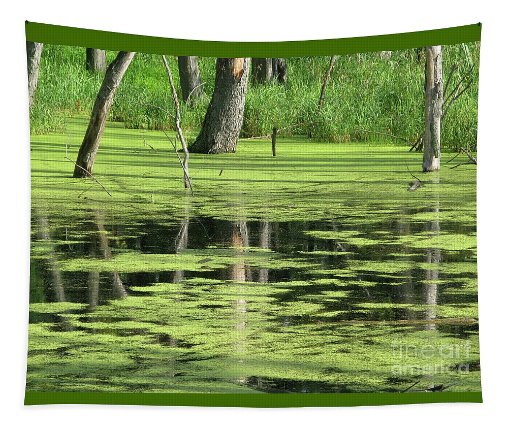 Landscape Tapestry featuring the photograph Wetland Reflection by Ann Horn