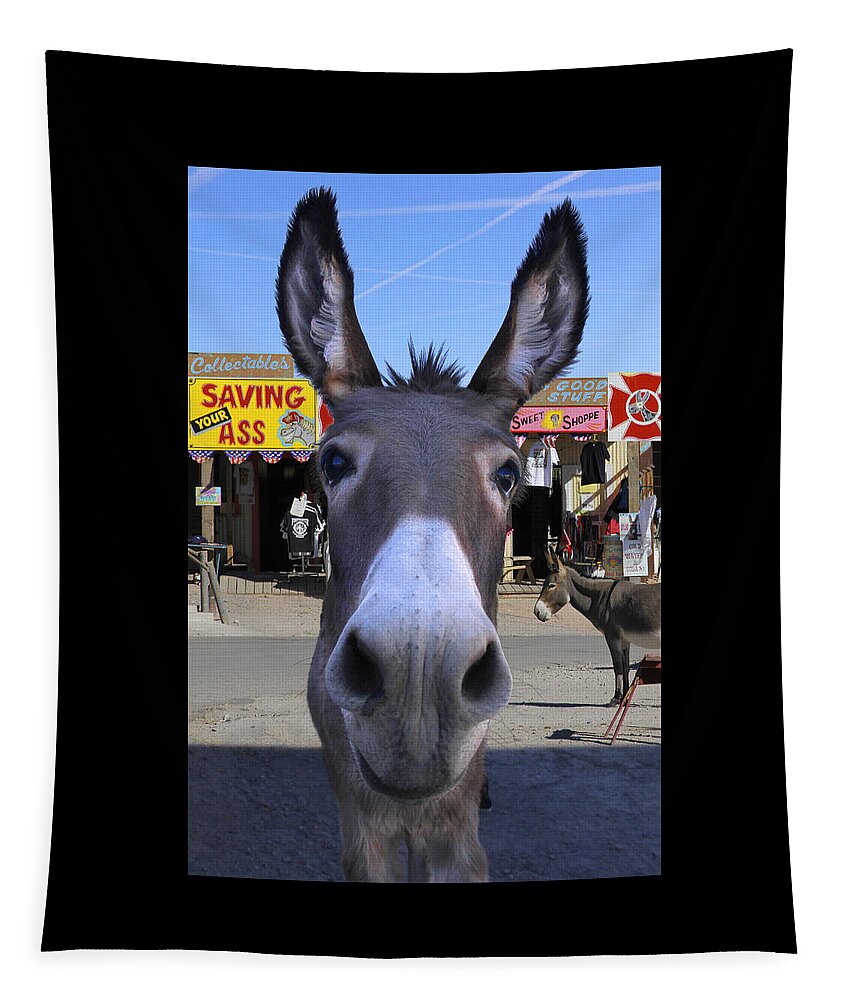 Donkey Tapestry featuring the photograph What . . . No Carrots by Mike McGlothlen