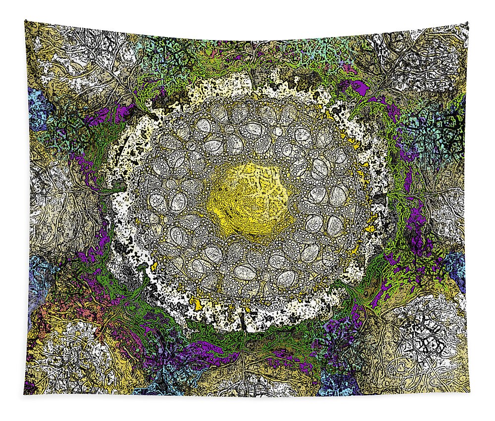 Sun Tapestry featuring the digital art What Kind of SUn III by Carol Jacobs