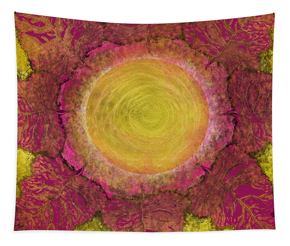 Sun Tapestry featuring the digital art What Kind of Sun IV by Carol Jacobs
