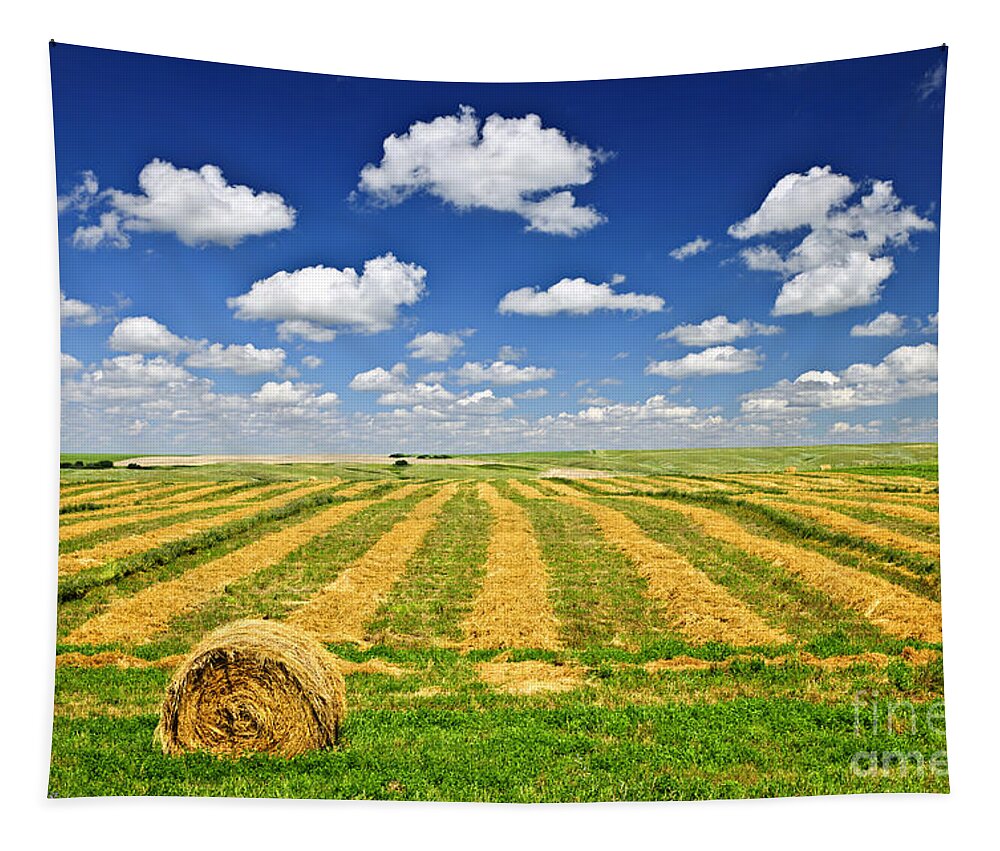 Agriculture Tapestry featuring the photograph Wheat farm field and hay bales at harvest in Saskatchewan by Elena Elisseeva