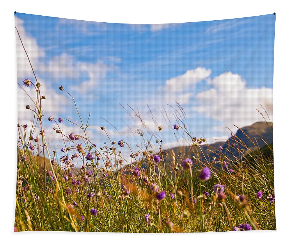 Jenny Rainbow Art Photography Tapestry featuring the photograph When the Sun is Shining Everything Around Smiling Towards. Scotland by Jenny Rainbow