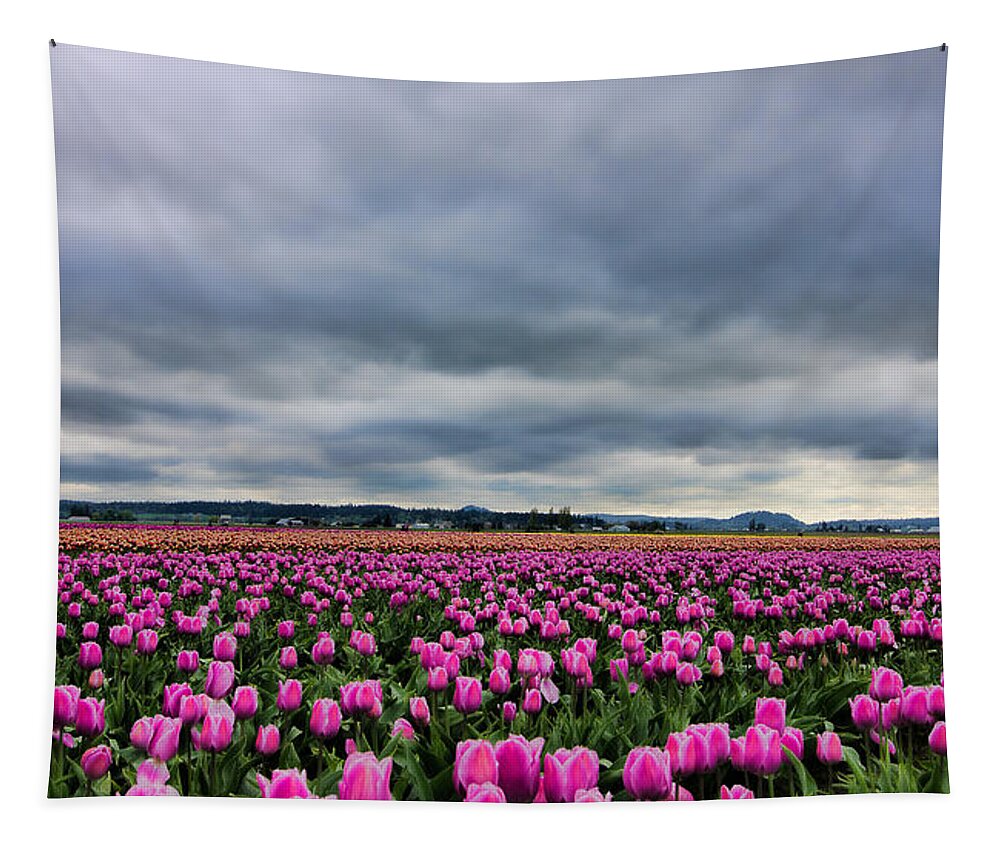 Beautiful Tulips Tapestry featuring the photograph Where the Tulips Meet the Sky by Don Schwartz