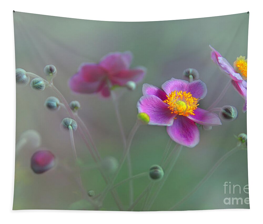 Floral Tapestry featuring the photograph Whisper by Elaine Manley