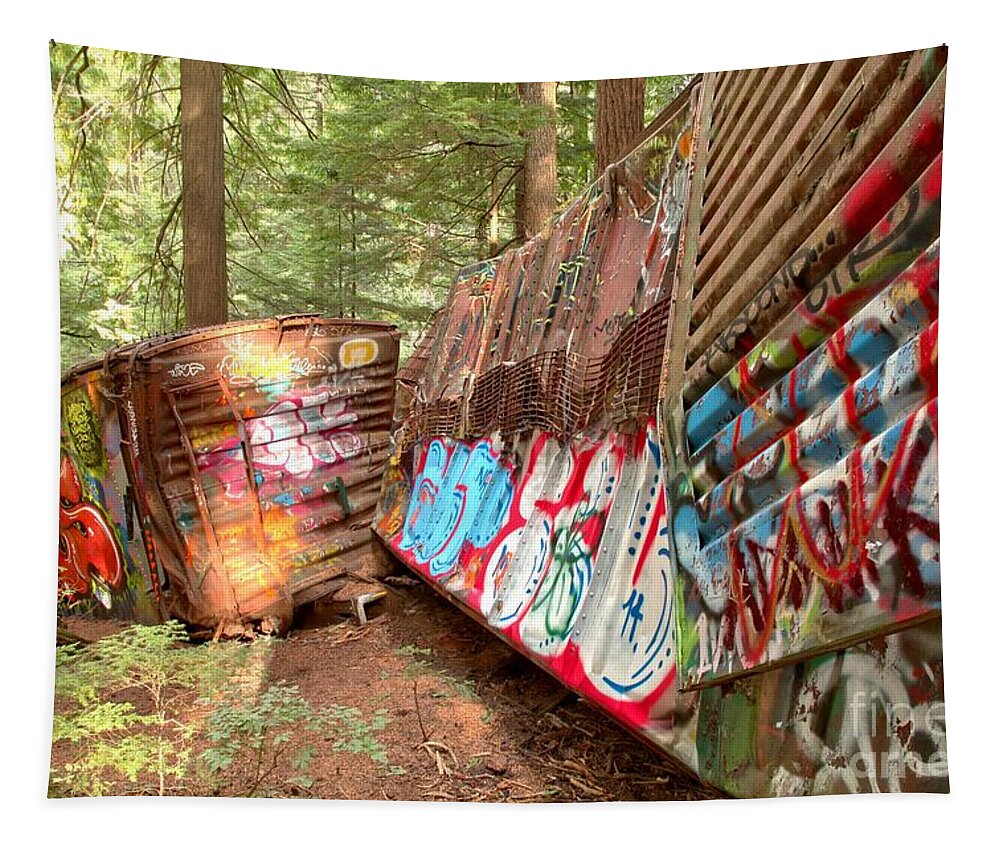 Canadian Train Wreck Tapestry featuring the photograph Whistler Train Wreck Box Cars by Adam Jewell
