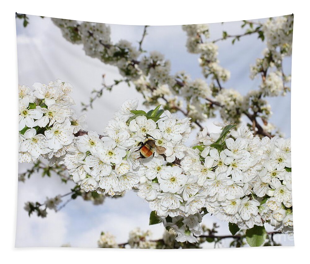 Landscape Tapestry featuring the photograph White Cherry Branch on Sky by Donna L Munro
