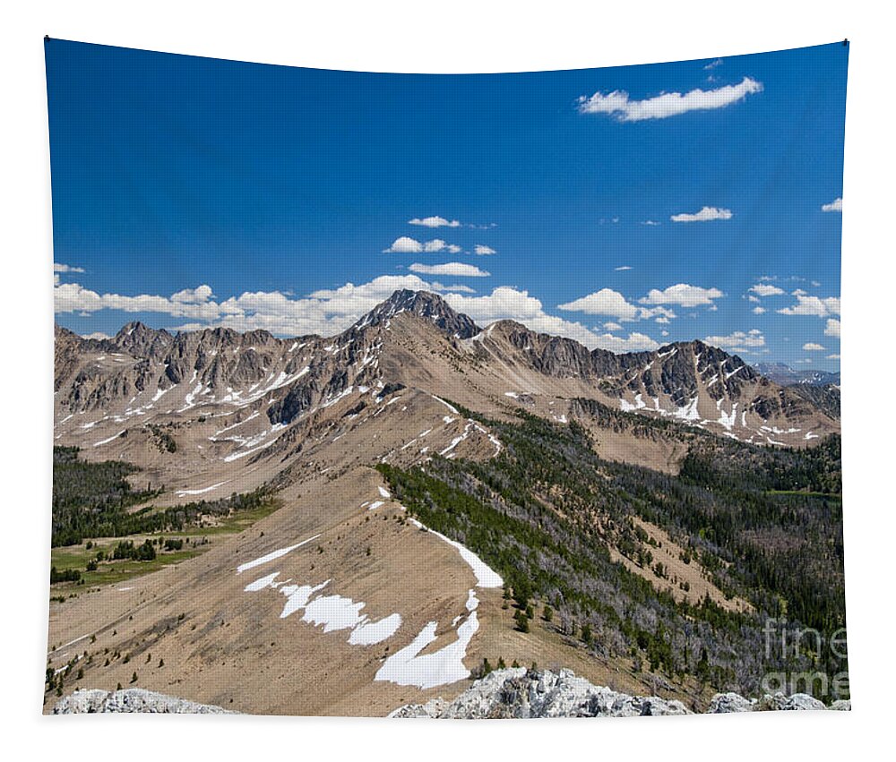 White Clouds Tapestry featuring the photograph White Cloud Mountains, Idaho by William H. Mullins