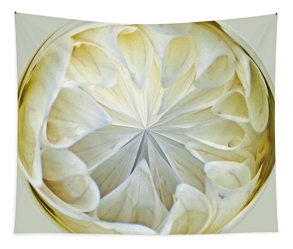 Design Tapestry featuring the photograph White Dahlia Orb by Tikvah's Hope