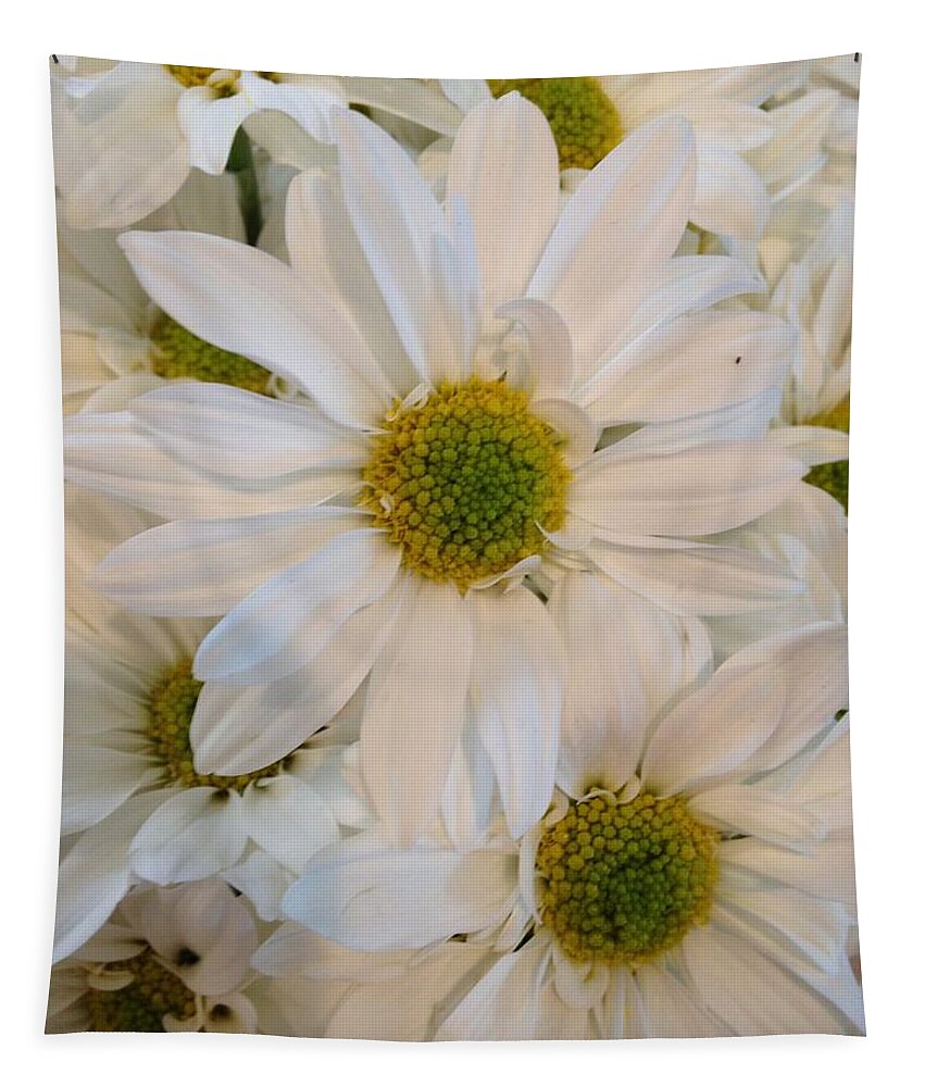 Daisy Tapestry featuring the photograph White Daisies by Marian Lonzetta