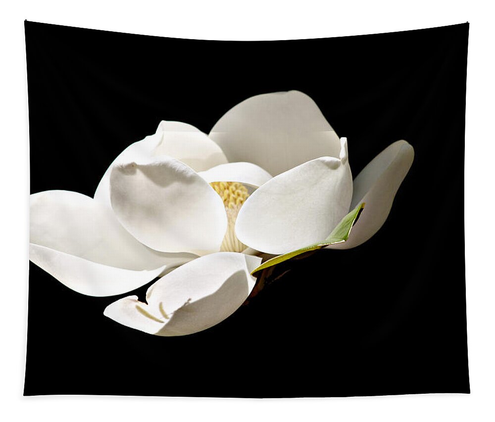 Magnolia Tapestry featuring the photograph White Magnolia by Debra Forand