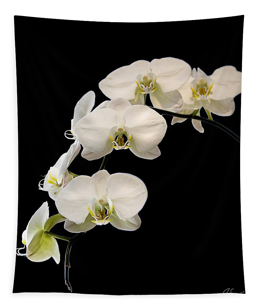 Flower Tapestry featuring the photograph White Orchids by Endre Balogh
