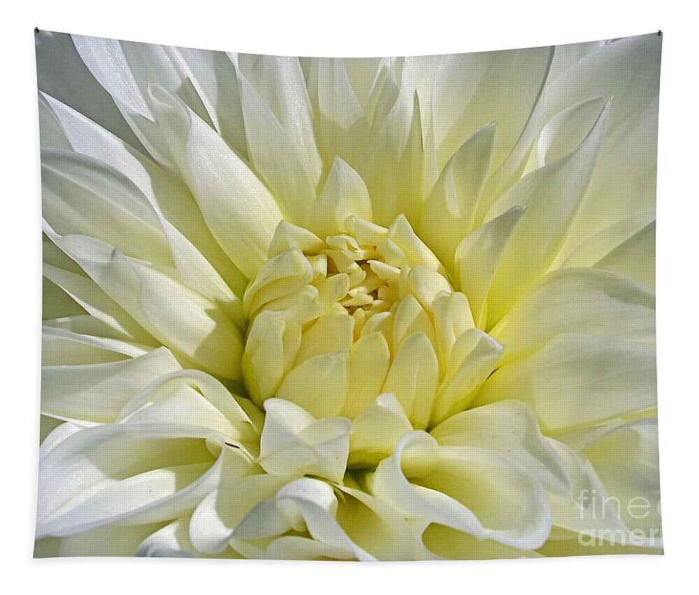 Flower Tapestry featuring the photograph White Peony by Kelly Holm