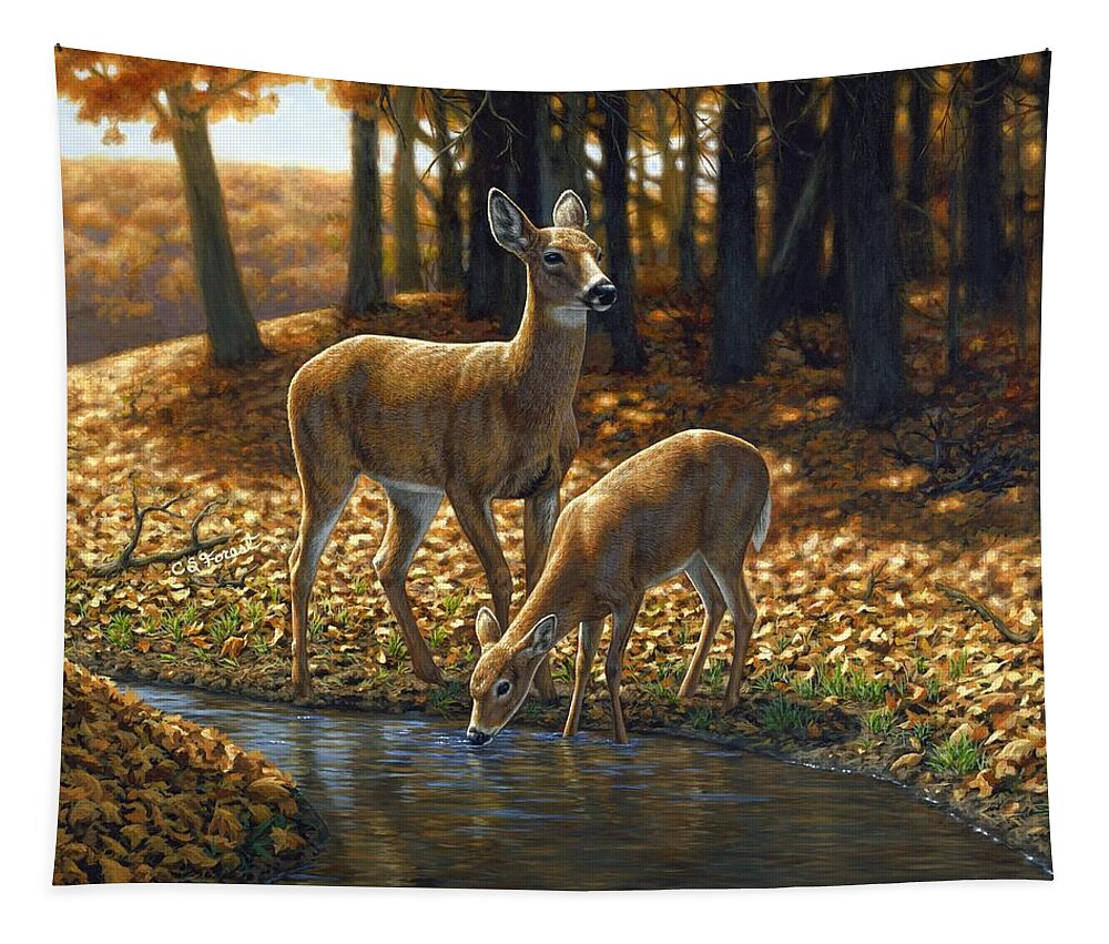 Deer Tapestry featuring the painting Whitetail Deer - Autumn Innocence 1 by Crista Forest