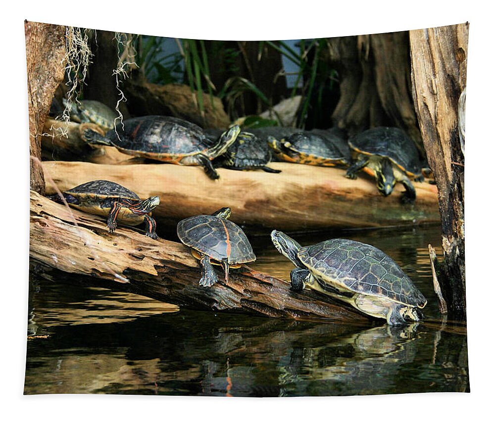 Turtle Tapestry featuring the photograph Who Called this Meeting Anyway by Kristin Elmquist
