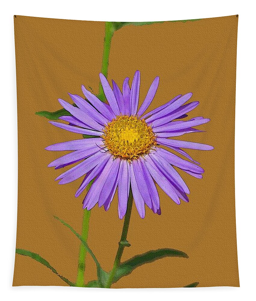 Wild Blue Aster Tapestry featuring the photograph Wild Blue Aster by Tom Janca
