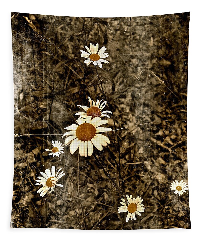 Wild Daisies Tapestry featuring the photograph Wild Daisies by Bellesouth Studio