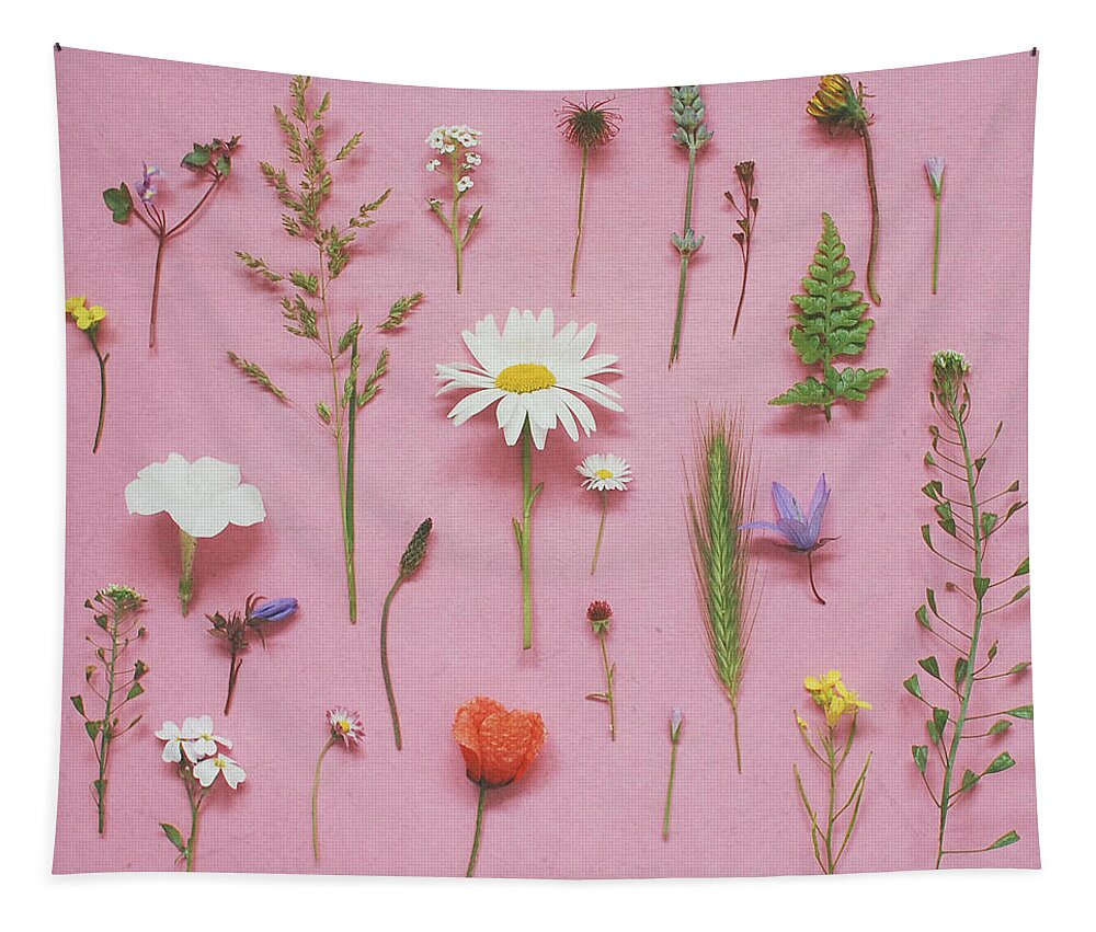 Nature Tapestry featuring the photograph Wild Flowers by Cassia Beck