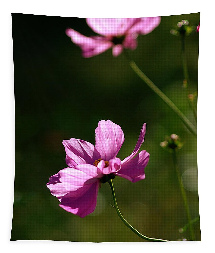 Wild Flowers Tapestry featuring the photograph Wild Flowers by Judy Salcedo