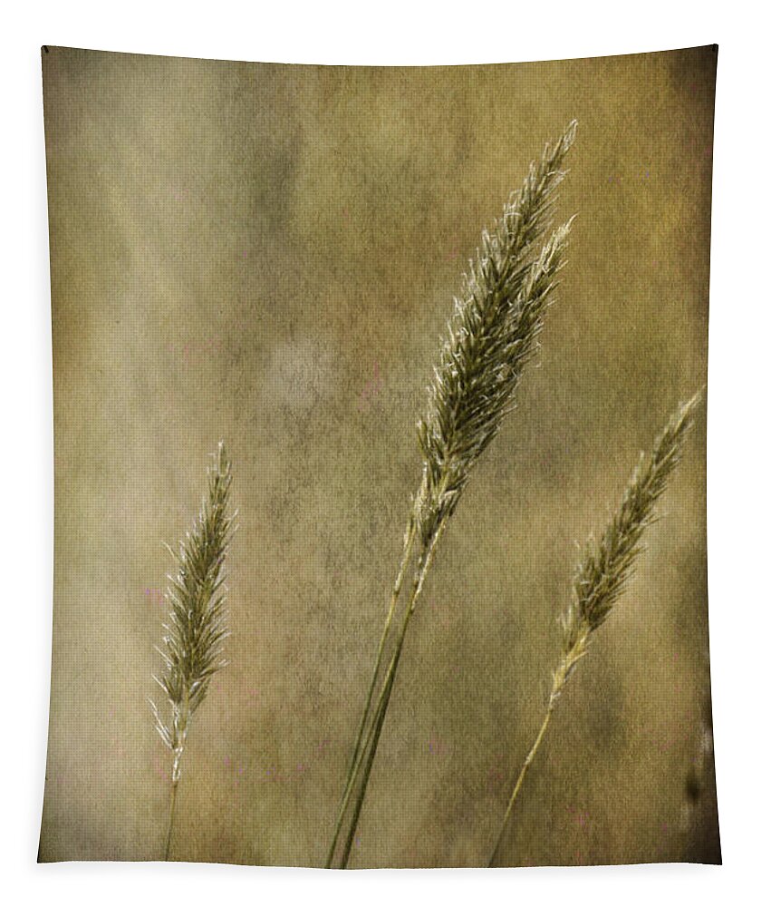 Grasses Tapestry featuring the photograph Wild grasses by Chris Armytage